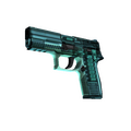 StatTrak™ P250 | X-Ray (Minimal Wear)