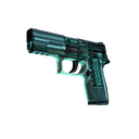 StatTrak™ P250 | X-Ray (Factory New)