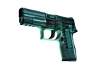 P250 | X-Ray