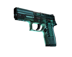 P250 | X-Ray