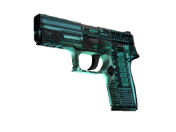P250 | X-Ray (Field-Tested)
