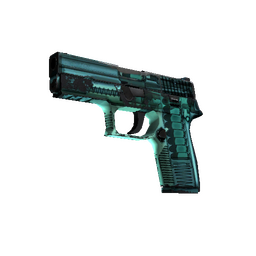 StatTrak™ P250 | X-Ray (Field-Tested)