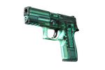 StatTrak™ P250 | X-Ray (Field-Tested)