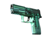 StatTrak™ P250 | X-Ray (Field-Tested)