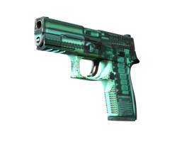 P250 | X-Ray