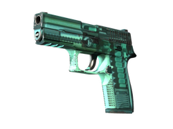 P250 | X-Ray