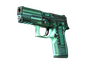 P250 | X-Ray