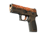 StatTrak™ P250 | Роспись (Закалённое в боях)