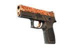 StatTrak™ P250 | Mehndi (Minimal Wear)