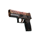 StatTrak™ P250 | Mehndi (Well-Worn)