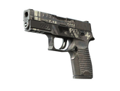 StatTrak™ P250 | Ре.конструкция (Закалённое в боях)