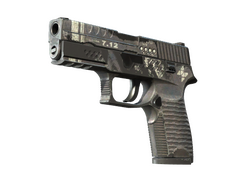 P250 | Re.built