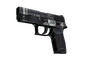 StatTrak™ P250 | Re.built