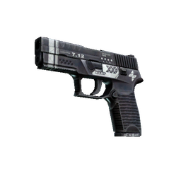 StatTrak™ P250 | Re.built (Factory New)