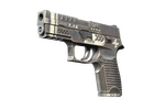 StatTrak™ P250 | Re.built (Minimal Wear)