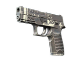 StatTrak™ P250 | Re.built (Minimal Wear)