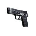 StatTrak™ P250 | Re.built (Factory New)