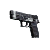 P250 | Re.built (Minimal Wear)