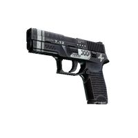 StatTrak™ P250 | Re.built (Well-Worn)