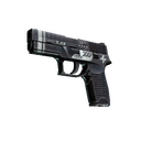 P250 | Re.built (Field-Tested)