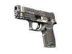 P250 | Re.built