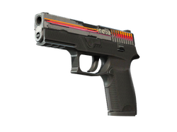 StatTrak P250 | Cassette