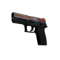 StatTrak™ P250 | Cassette (Field-Tested)