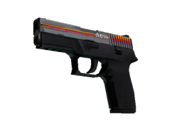 StatTrak P250 | Cassette