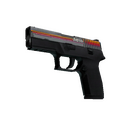 P250 | Cassette (Field-Tested)
