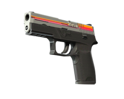 StatTrak P250 | Cassette