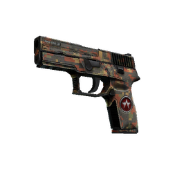 free csgo skin P250 | Red Rock (Battle-Scarred)