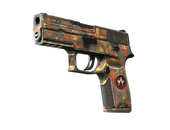 StatTrak™ P250 | Red Rock (Battle-Scarred)