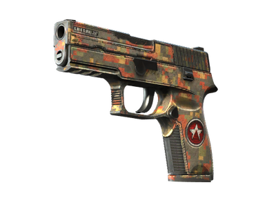 P250 StatTrak™ | Red Rock