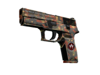 P250 | Red Rock (Field-Tested)