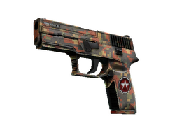 P250 | Red Rock