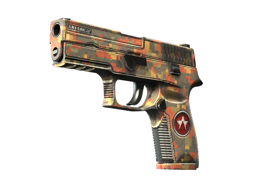 StatTrak™ P250 | Red Rock (Well-Worn)