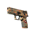 P250 | Red Rock