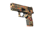 StatTrak™ P250 | Red Rock (Field-Tested)