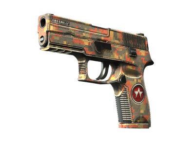 P250 StatTrak™ | Red Rock