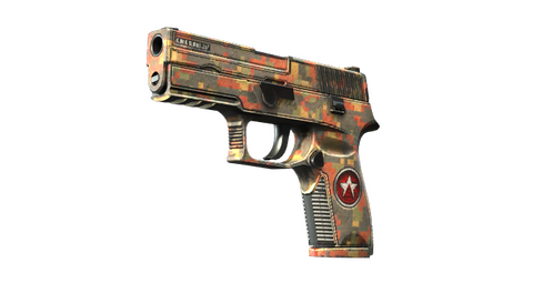 P250 | Red Rock (Well-Worn)