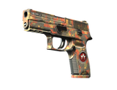 StatTrak™ P250 | Красный камень (Немного поношенное)