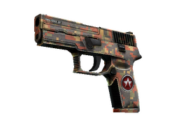 P250 | Red Rock (Battle-Scarred)