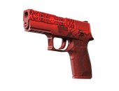 StatTrak™ P250 | Покойник (Немного поношенное)