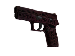 StatTrak P250 | Contaminant