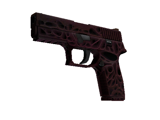 StatTrak P250 | Contaminant