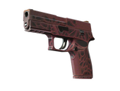 StatTrak™ P250 | Contaminant (Minimal Wear)