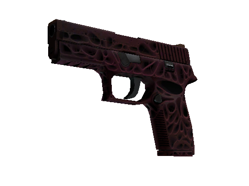 StatTrak™ P250 | Contaminant (Minimal Wear)