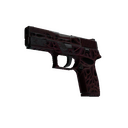 P250 | Contaminant (Field-Tested)