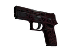 P250 | Contaminant (Field-Tested)
