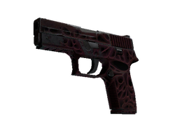 StatTrak P250 | Contaminant
